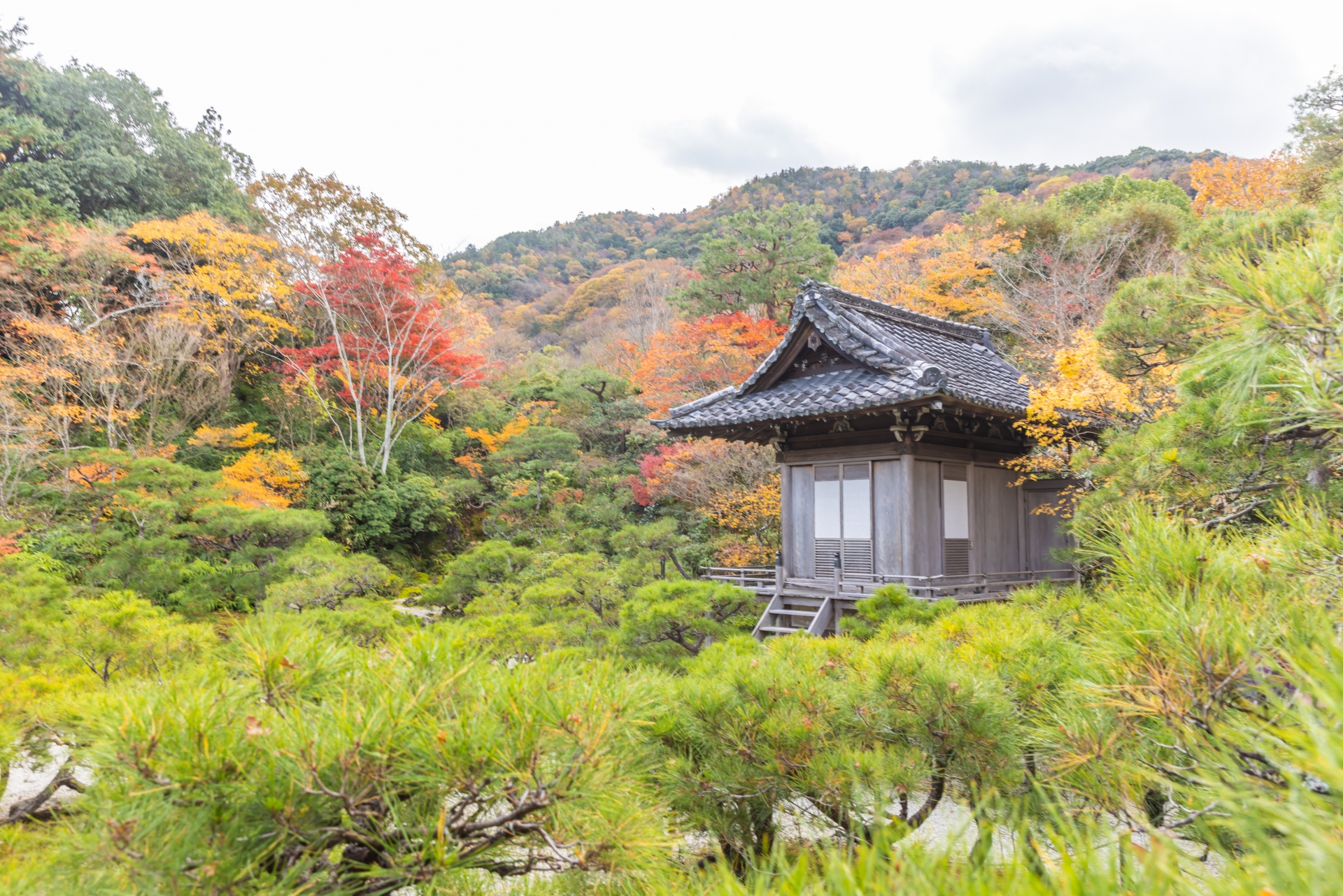 京都市ではなぜ空き家問題が起きやすいのか？