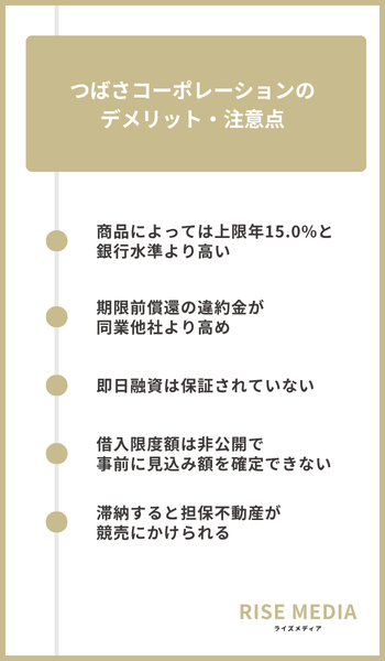 大見出し直下画像 つばさコーポレーションのデメリット・注意点